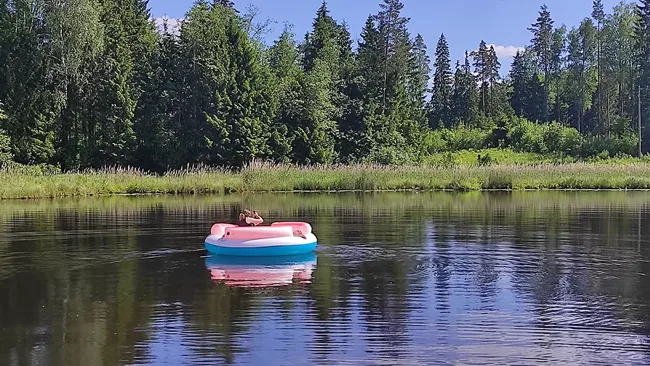 Kārkliņi · foto 24